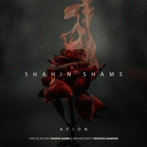 Shahin Shams Afion