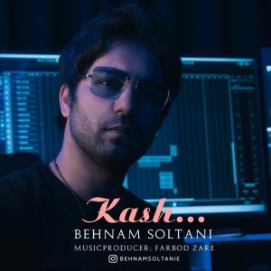 Behnam Soltani Kash