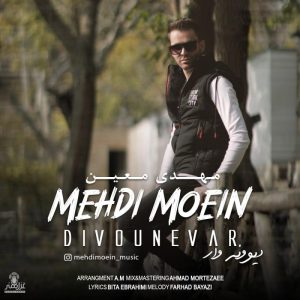 Mehdi Moein Divounevar
