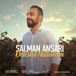 Salman Ansari Delesho Nadaram