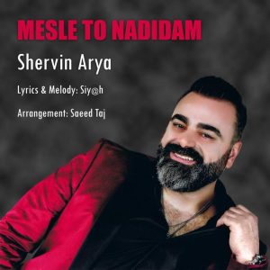Shervin Arya Mesle To Nadidam