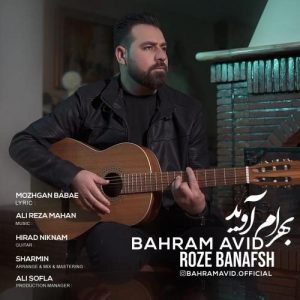 Bahram Avid Rose Banafsh