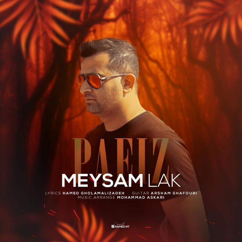Meysam Lak Paeiz