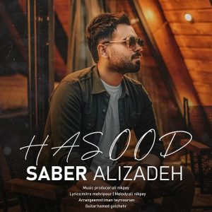 Saber Alizadeh Hasood