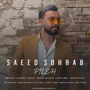 Saeed Sohrab Pileh